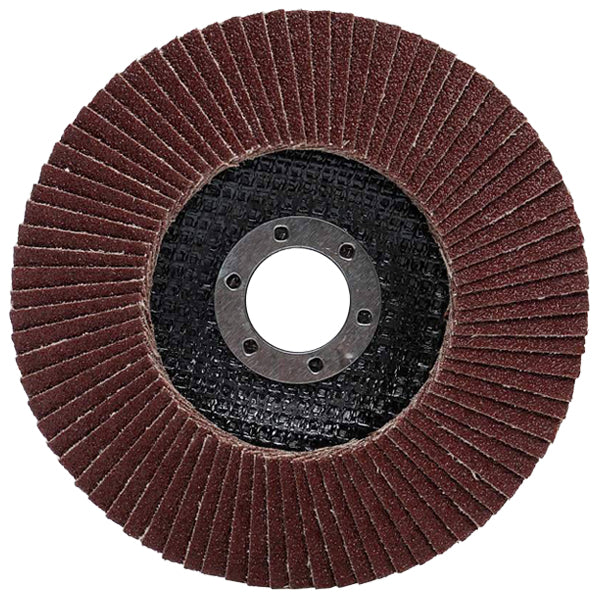 Disque de meulage à lamelles TAGRED Ø125 mm – Lot de 10 pièces
